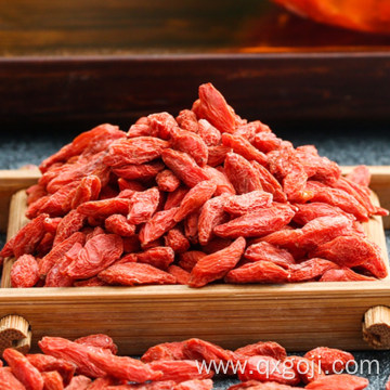 Certified organic dried goji berries good for health